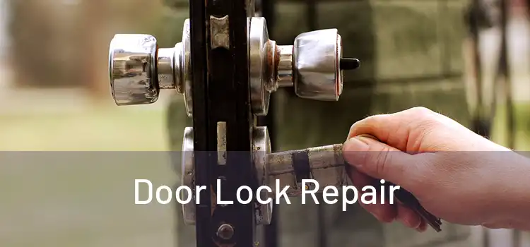  Door Lock Repair 