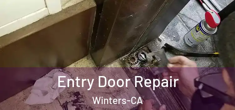  Entry Door Repair Winters-CA