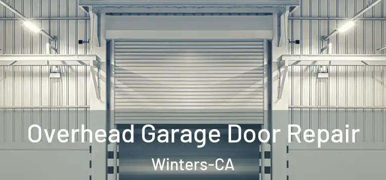  Overhead Garage Door Repair Winters-CA